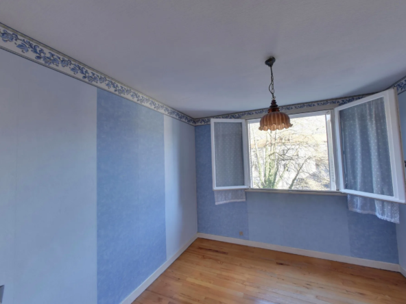 T3 avec travaux à vendre à Grenoble - Vue dégagée 