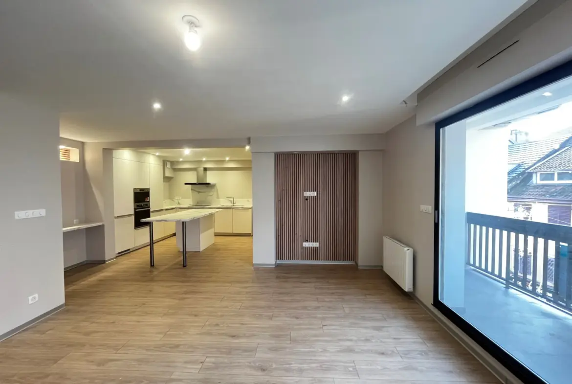 Superbe appartement rénové avec terrasse à Montbeliard 