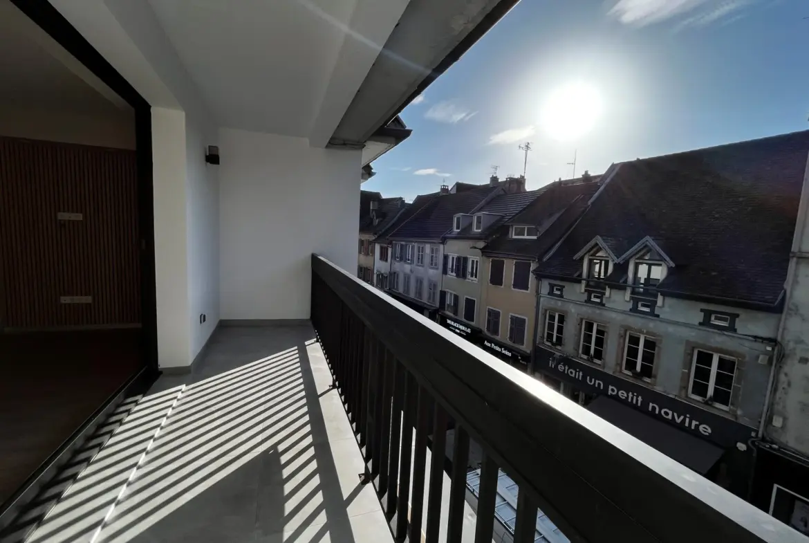 Superbe appartement rénové avec terrasse à Montbeliard 
