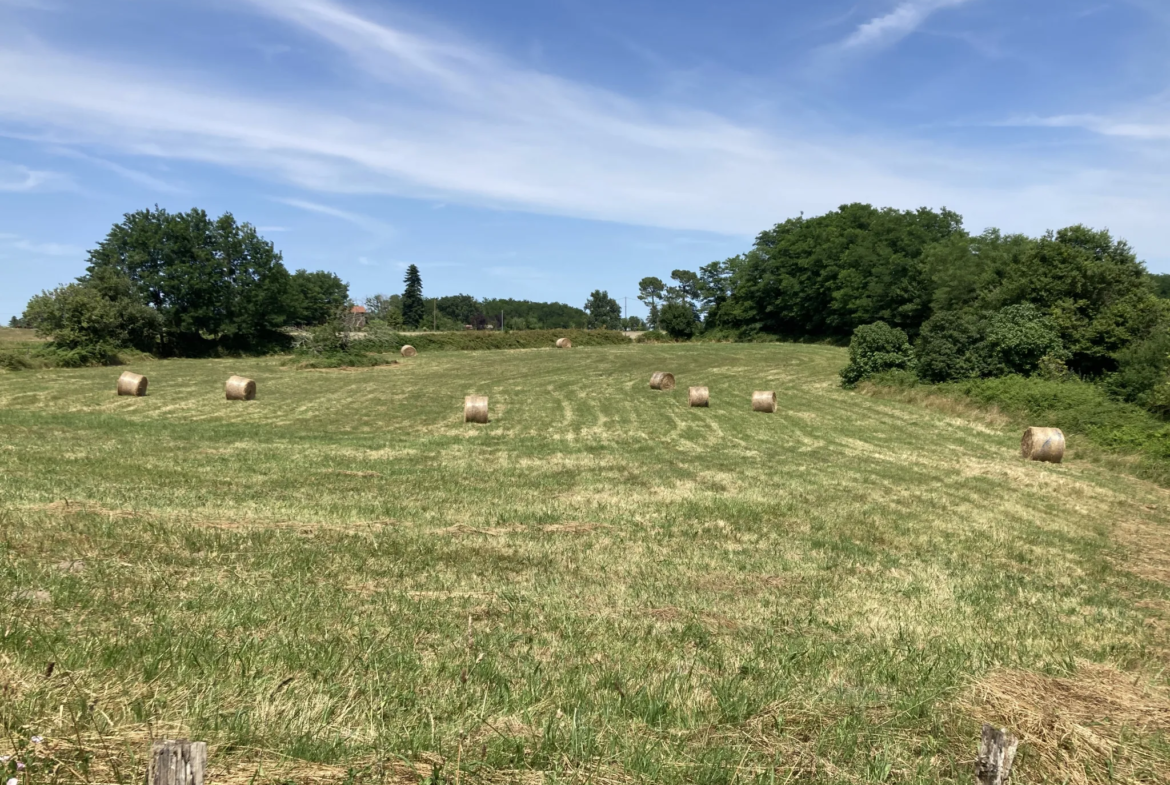Charmante maison Arcachonnaise à vendre à Bazas 
