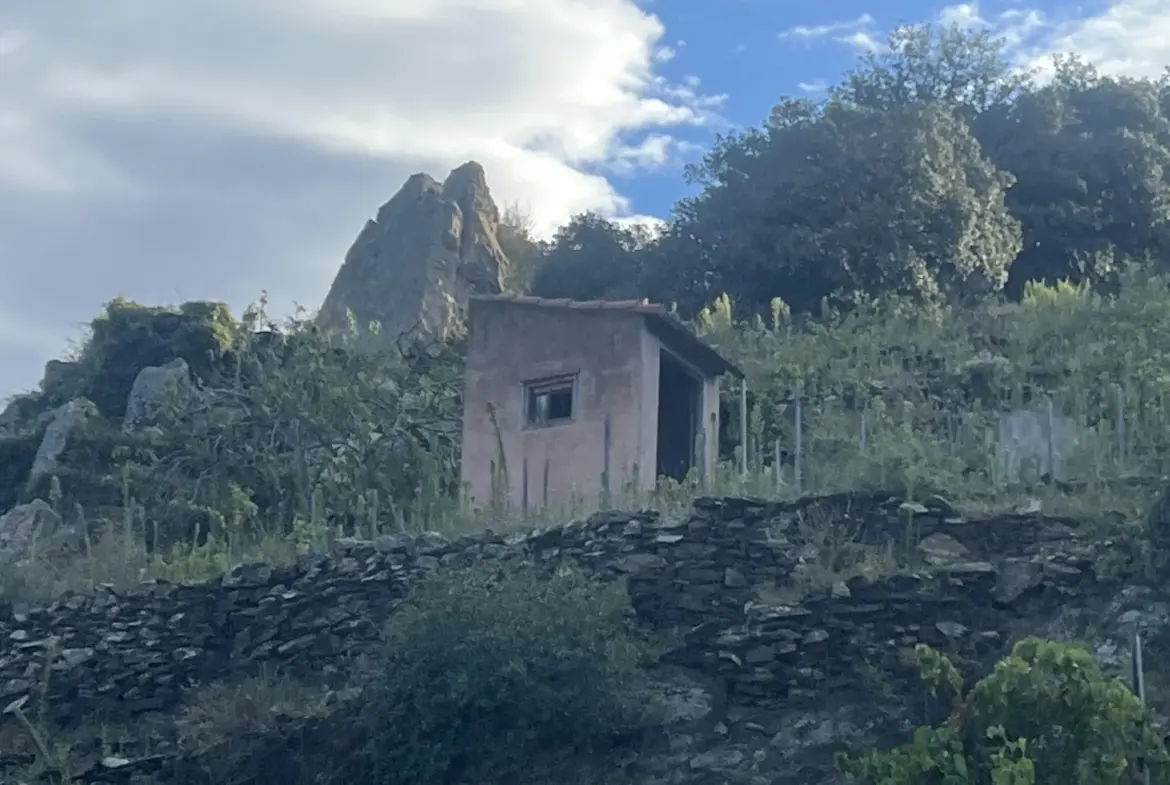 Vente d'un terrain agricole de 24 401 m² à Collioure 