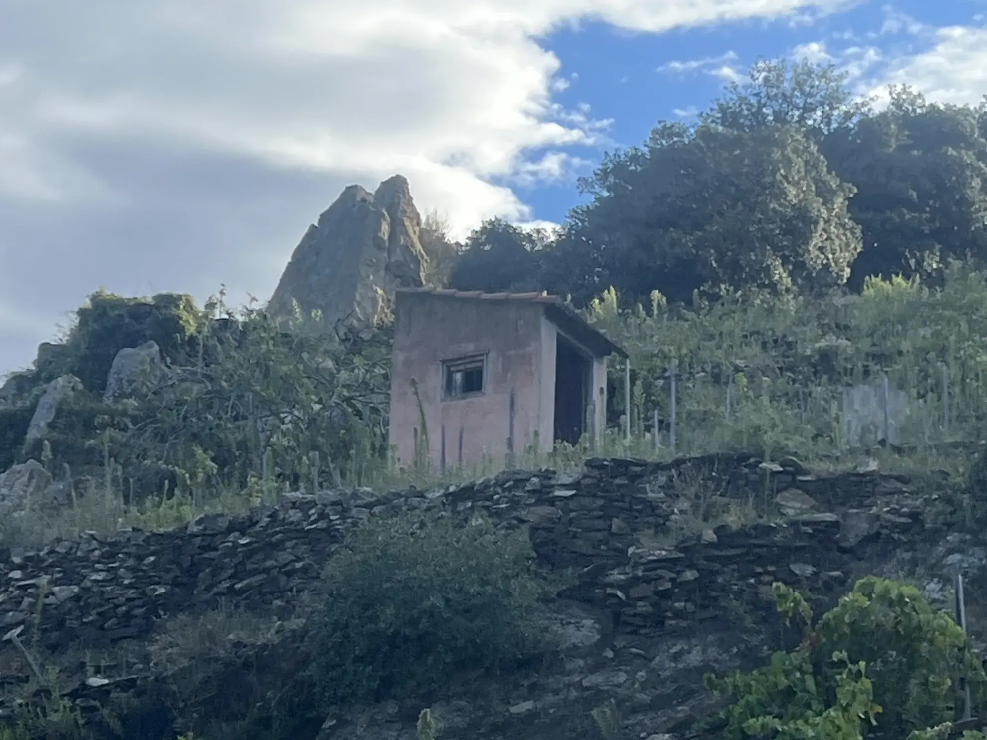 Vente d'un terrain agricole de 24 401 m² à Collioure 