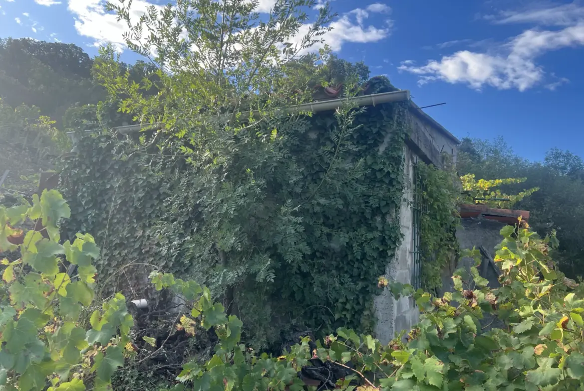 Vente d'un terrain agricole de 24 401 m² à Collioure 