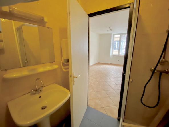 Studio en vente avec terrasse et cour privative à Saint-Vallier 