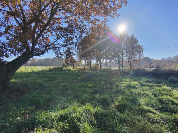 Terrain constructible à Langon de 2515 m² à vendre 