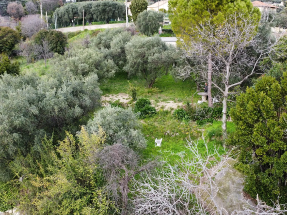 Terrain constructible à Grasse de 1695 m² avec permis de construire 