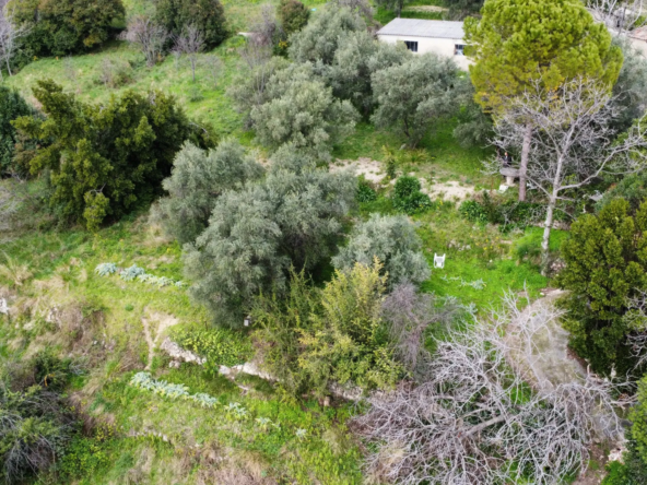 Terrain constructible à Grasse de 1695 m² avec permis de construire 
