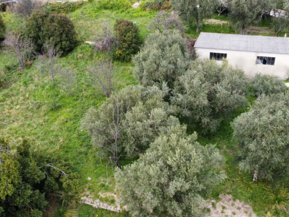 Terrain constructible à Grasse de 1695 m² avec permis de construire 
