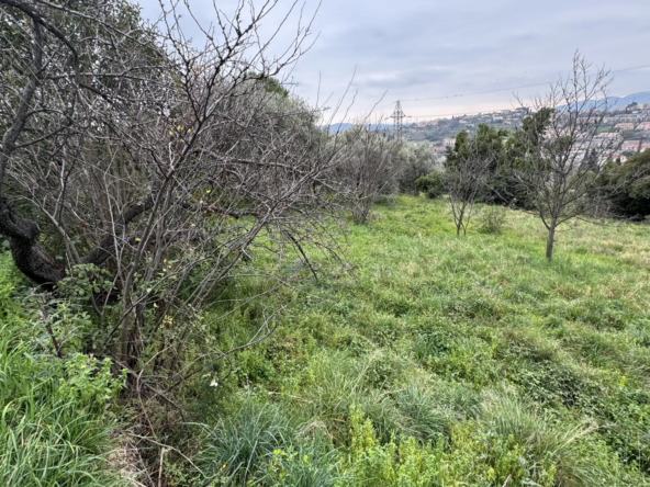 Terrain constructible à Grasse de 1695 m² avec permis de construire 