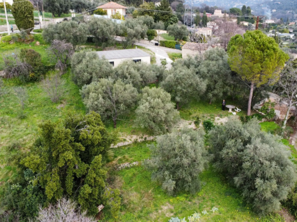 Terrain constructible à Grasse de 1695 m² avec permis de construire 
