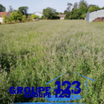 Terrain constructible de 2388 m² à Saint-Maurice-le-Vieil