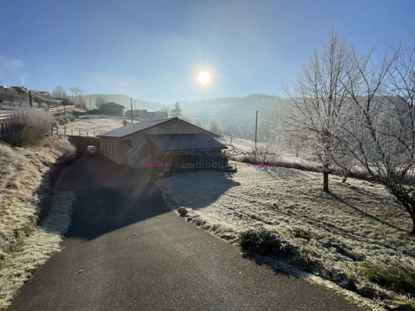 Villa de plain pied avec terrain à Cublize 