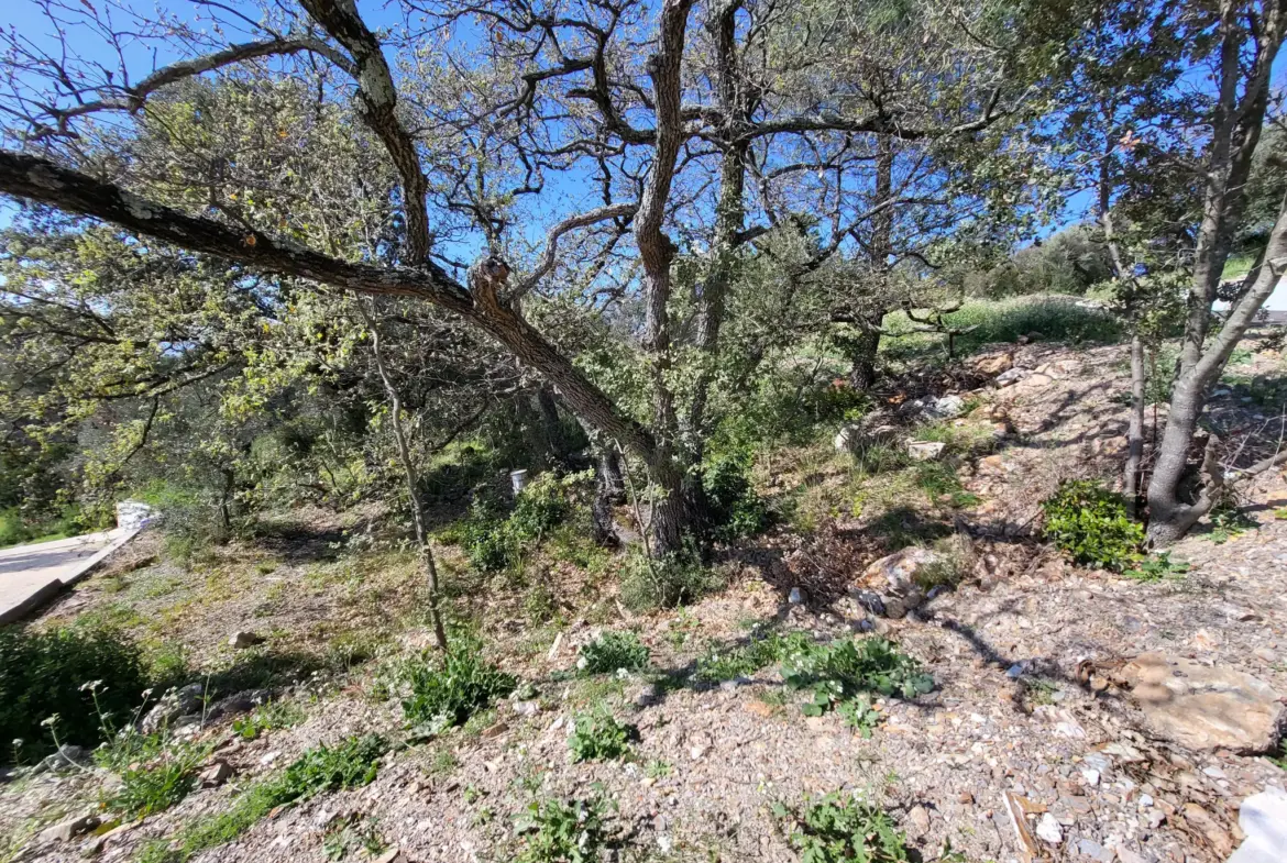Terrain à bâtir viabilisé à Pierrefeu du Var avec vue dominante 