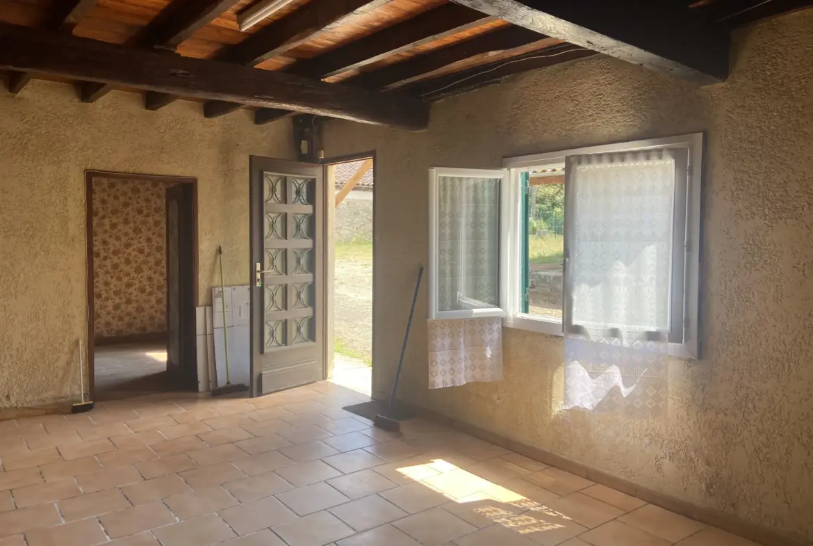 Ensemble immobilier avec deux maisons et un hangar à Castelnau d'Auzan 