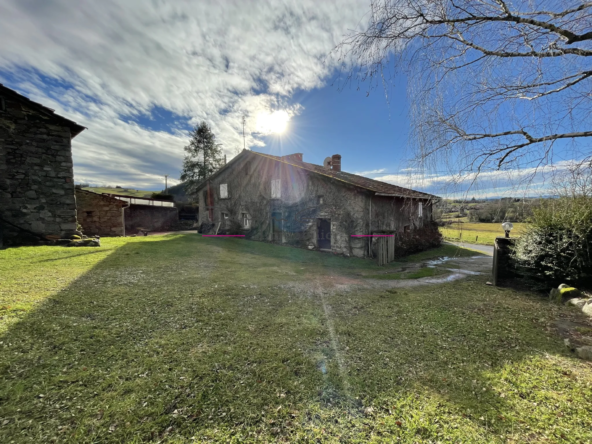 Charmante maison à rénover en campagne à Amplepuis 