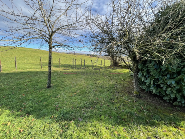 Charmante maison à rénover en campagne à Amplepuis 