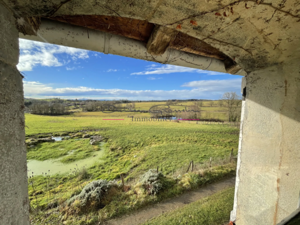 Charmante maison à rénover en campagne à Amplepuis 