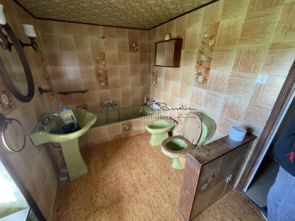 Charmante maison à rénover en campagne à Amplepuis 