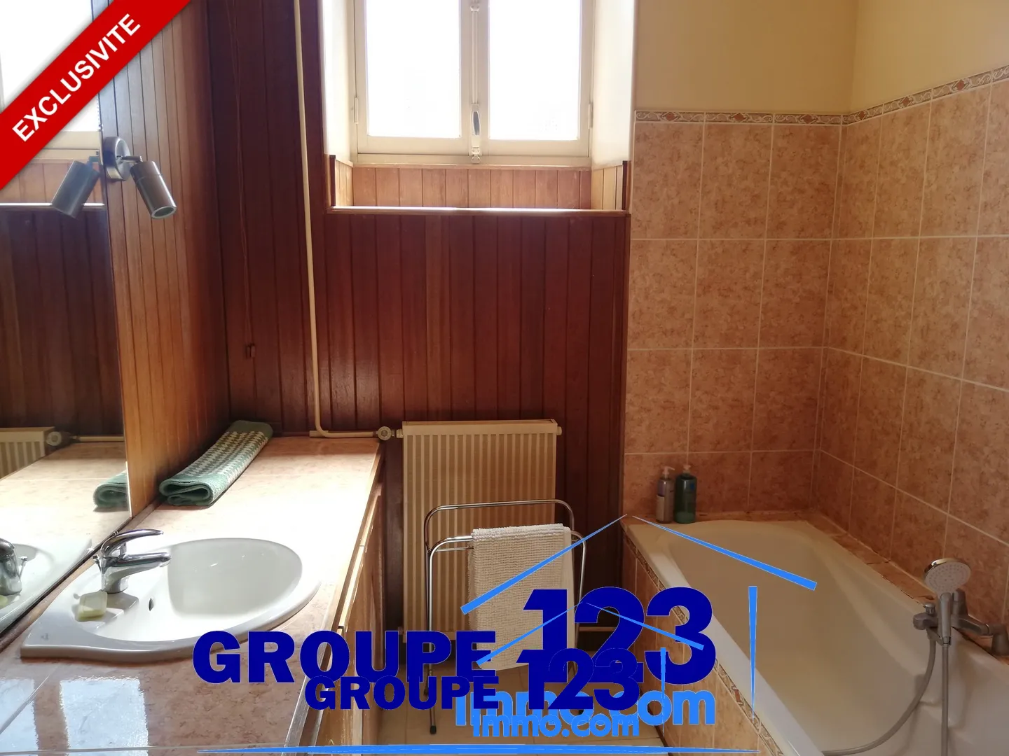 Grande maison familiale de 6 chambres à vendre à Brienon-sur-Armançon 