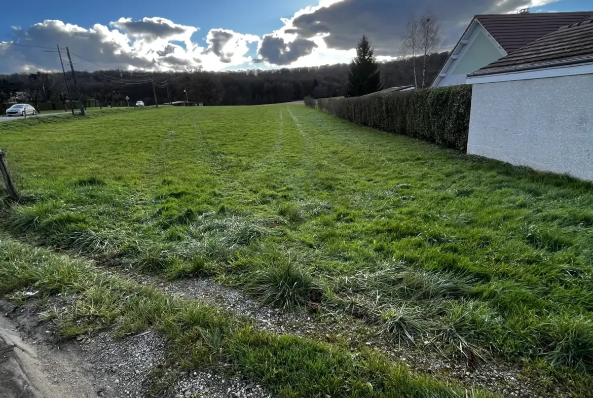 Terrain constructible à Montenois - 2620m² à vendre 