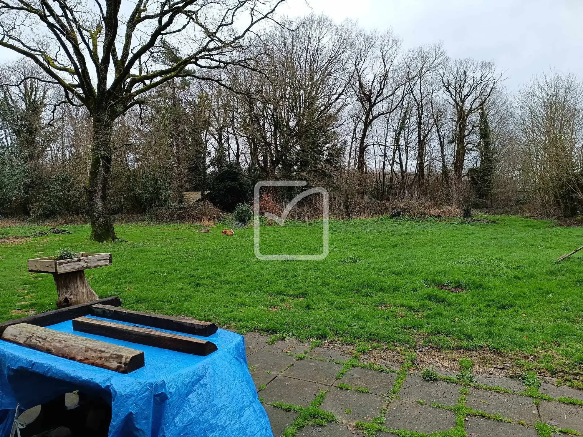 Grande maison avec potentiel à Mohon - 323 m² sur 3200 m² de terrain 