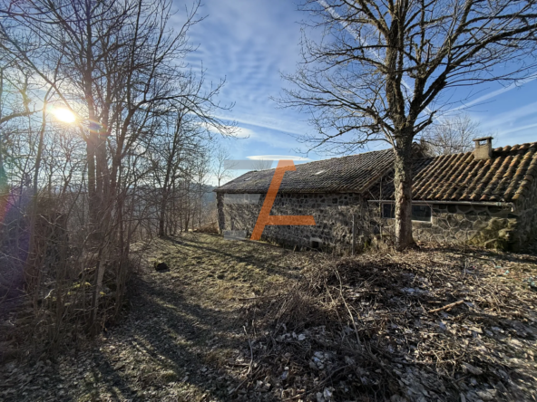 Authentique Corps de Ferme Rénové à Presailles 