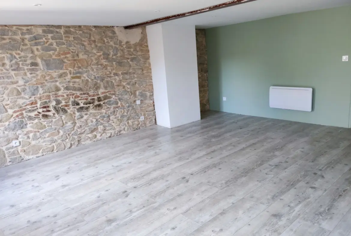 Maison familiale en pierre à vendre à Félines-Minervois 