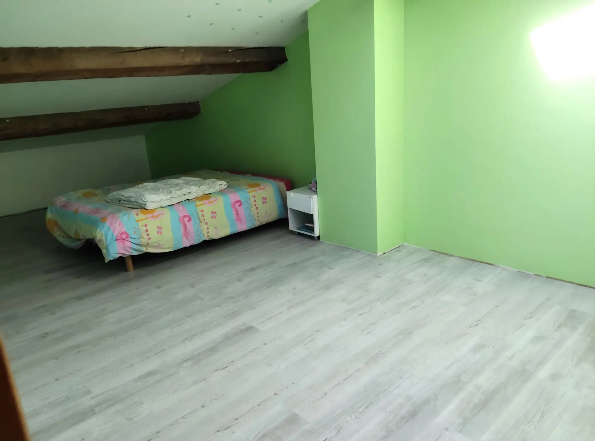 Maison familiale en pierre à vendre à Félines-Minervois 