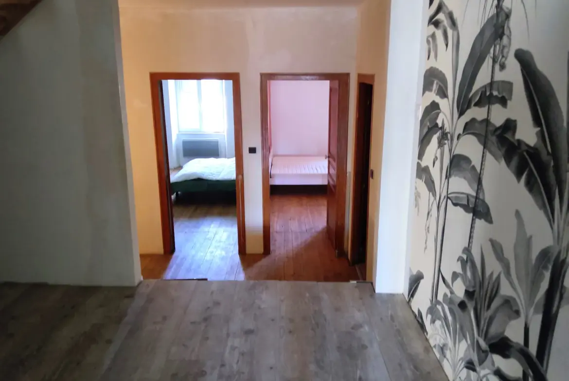 Maison familiale en pierre à vendre à Félines-Minervois 