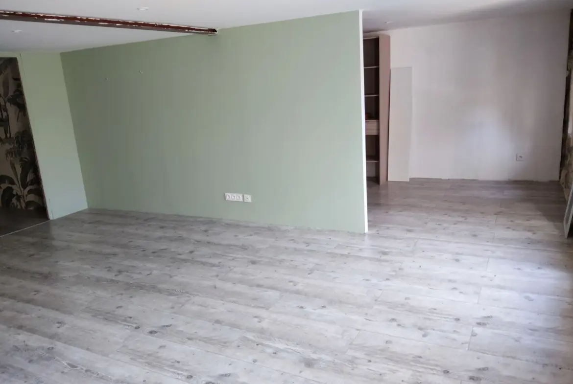 Maison familiale en pierre à vendre à Félines-Minervois 