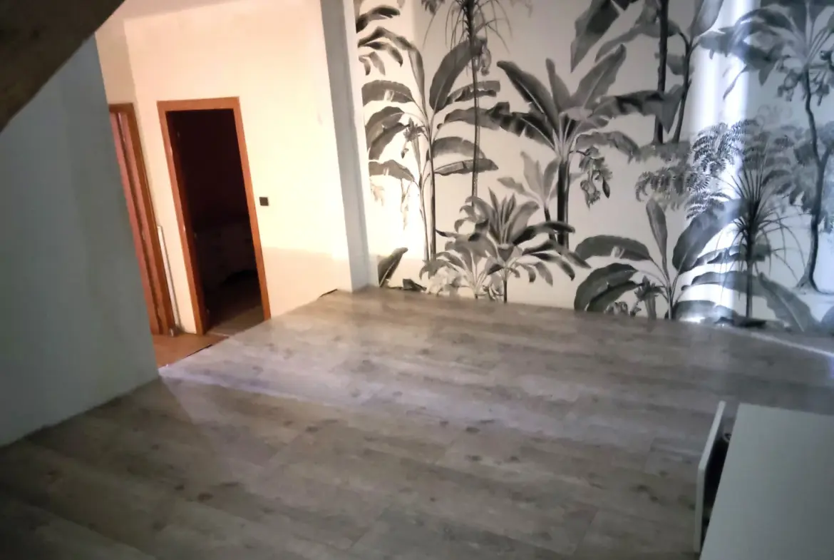 Maison familiale en pierre à vendre à Félines-Minervois 