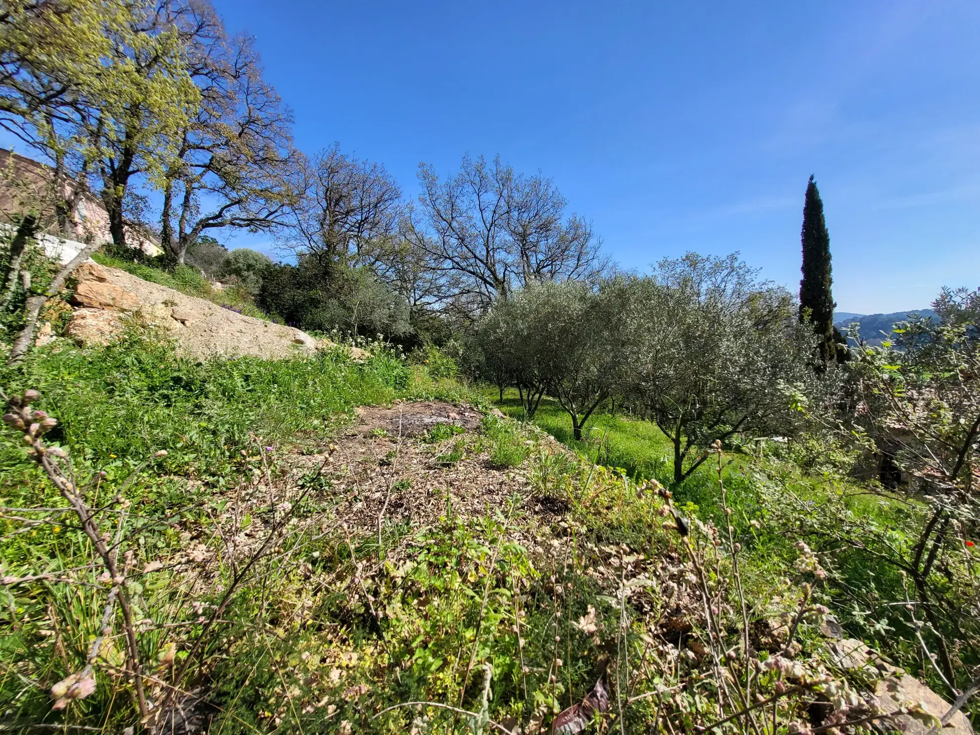Terrain constructible viabilisé à Pierrefeu-du-Var - 570 m² avec vue 