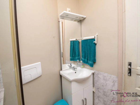 Vente de 2 appartements à Pontarlier avec jardin et garages 
