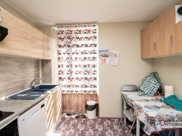 Vente de 2 appartements à Pontarlier avec jardin et garages 