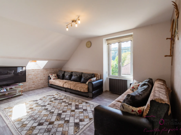 Vente de 2 appartements à Pontarlier avec jardin et garages 