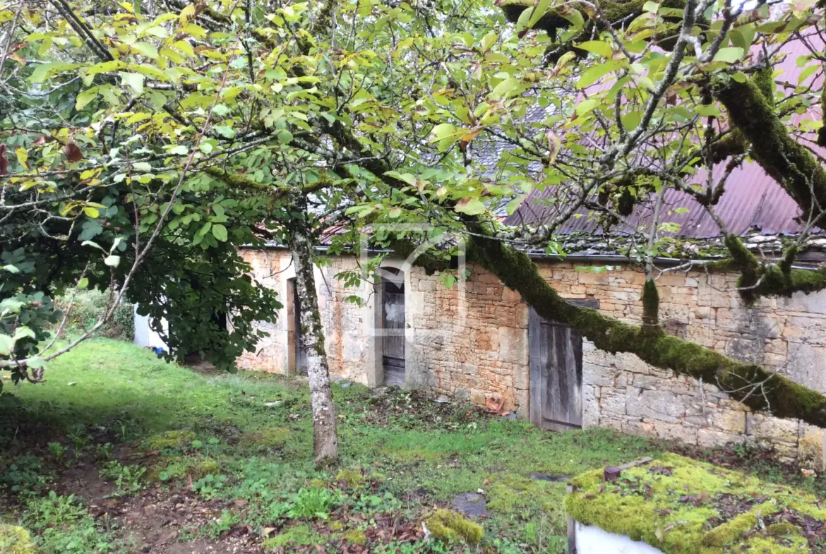Longère à rénover à Chartrier Ferrière - 50 000 euros 