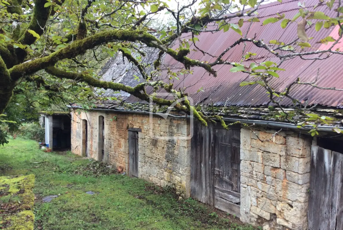 Longère à rénover à Chartrier Ferrière - 50 000 euros 
