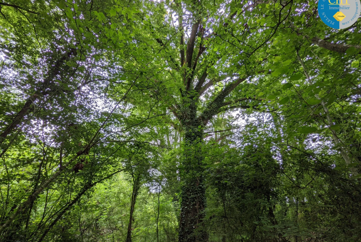 Terrain Non Constructible de 5035 m² à Loutehel 