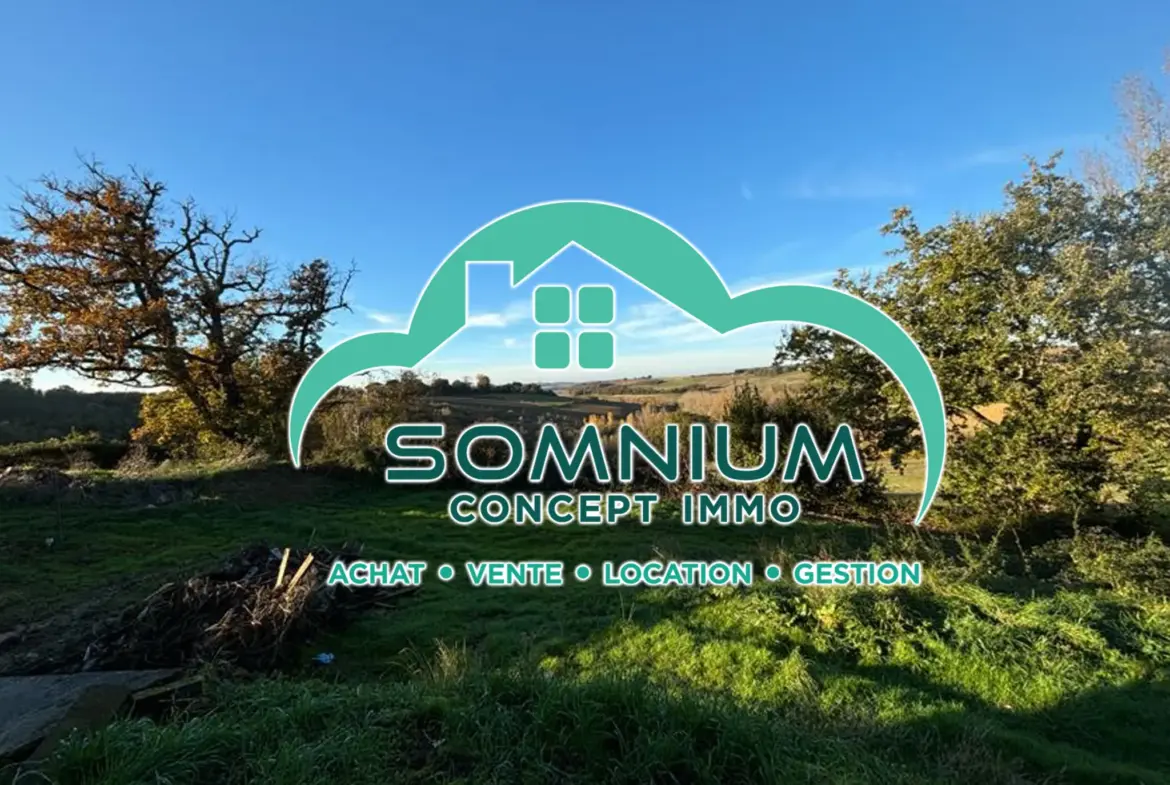 Maison à rénover avec un grand potentiel à Mas d'Auvignon 