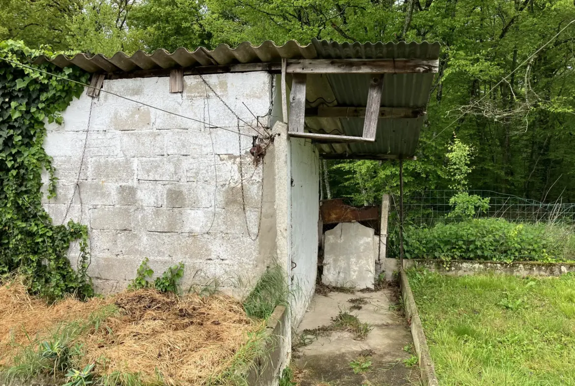 Maison à vendre à Chevenon - 85 m² avec jardin et garage 