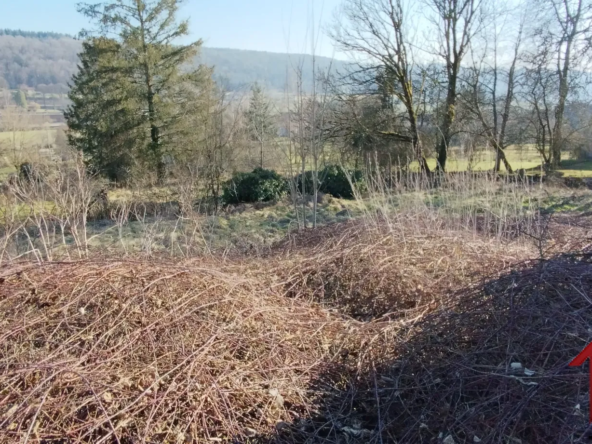 Terrain à bâtir viabilisé de 1657 m² à Harreville les Chanteurs 