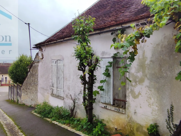 Ensemble immobilier à vendre à Coussegrey avec deux maisons et dépendances 