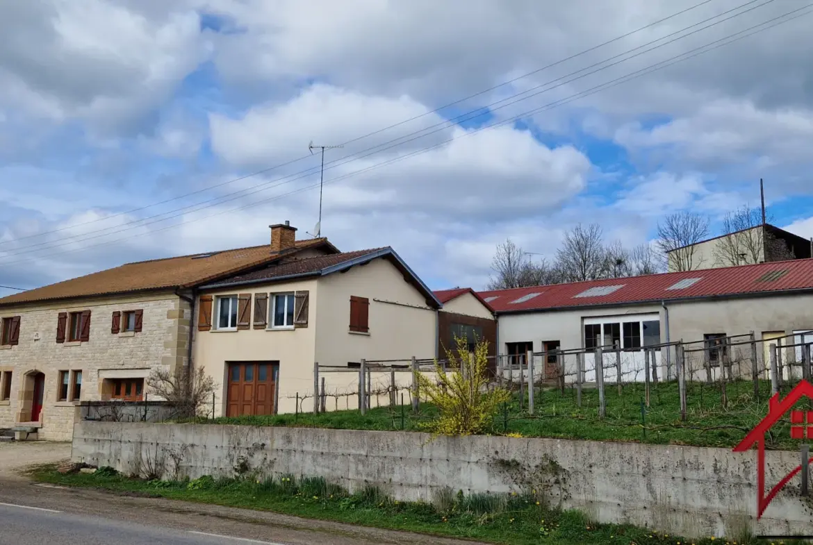 Maison en Pierre de 258 m2 avec Atelier et Grand Terrain à Villars St Marcellin 