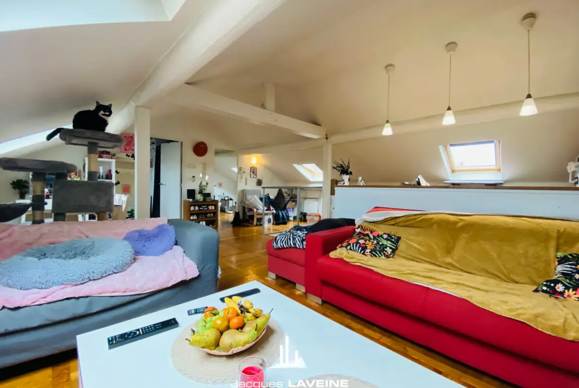 Loft à vendre à Metz-Sablon - 2 pièces avec jardin 
