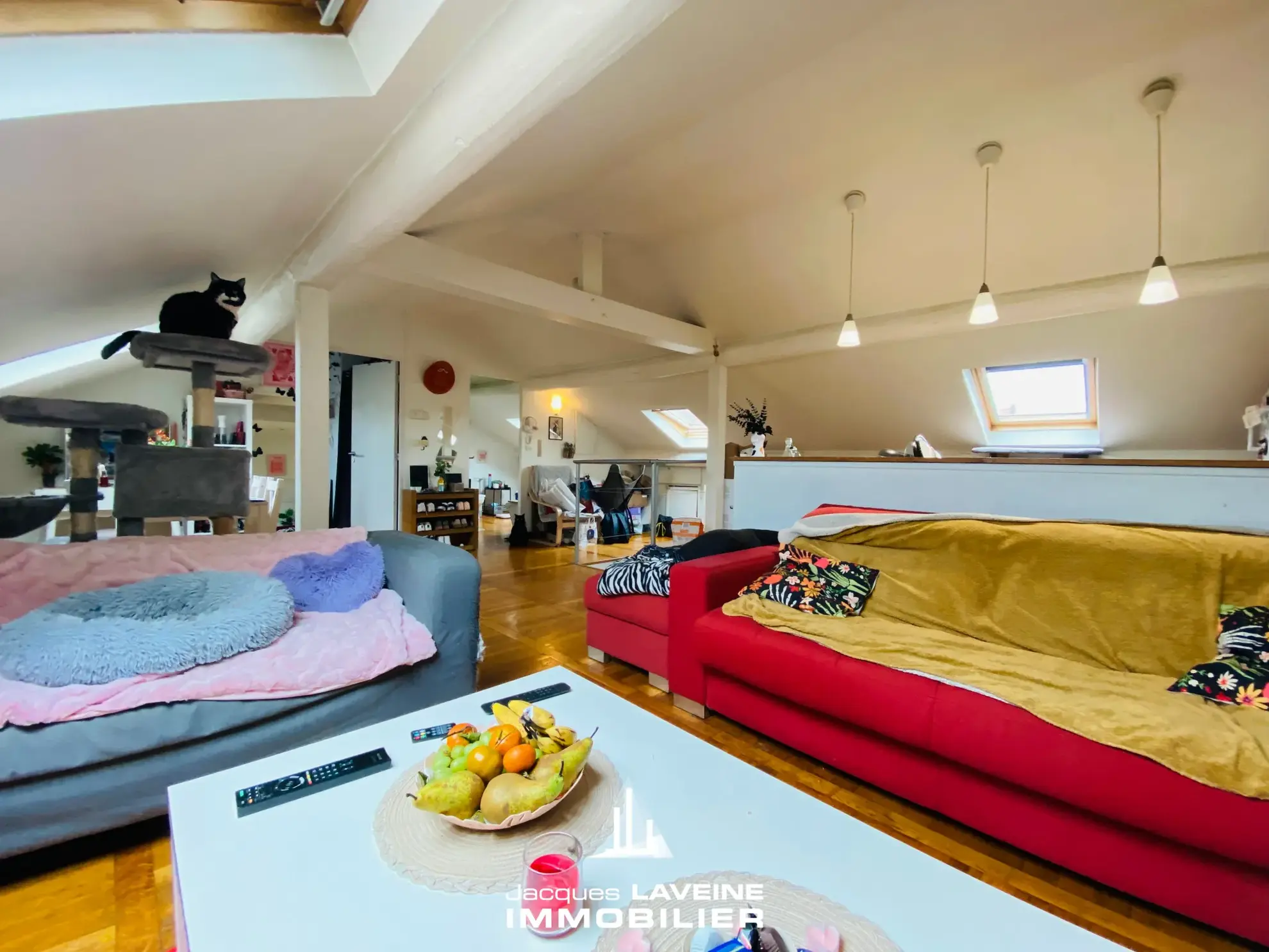 Loft à vendre à Metz-Sablon - 2 pièces avec jardin 