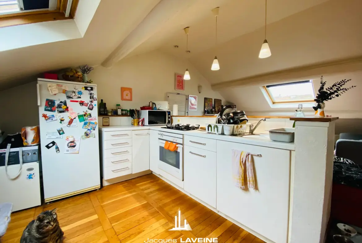 Loft à vendre à Metz-Sablon - 2 pièces avec jardin 