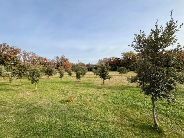 Terrain à bâtir de 1308 m² à Grignan - RARE ! 
