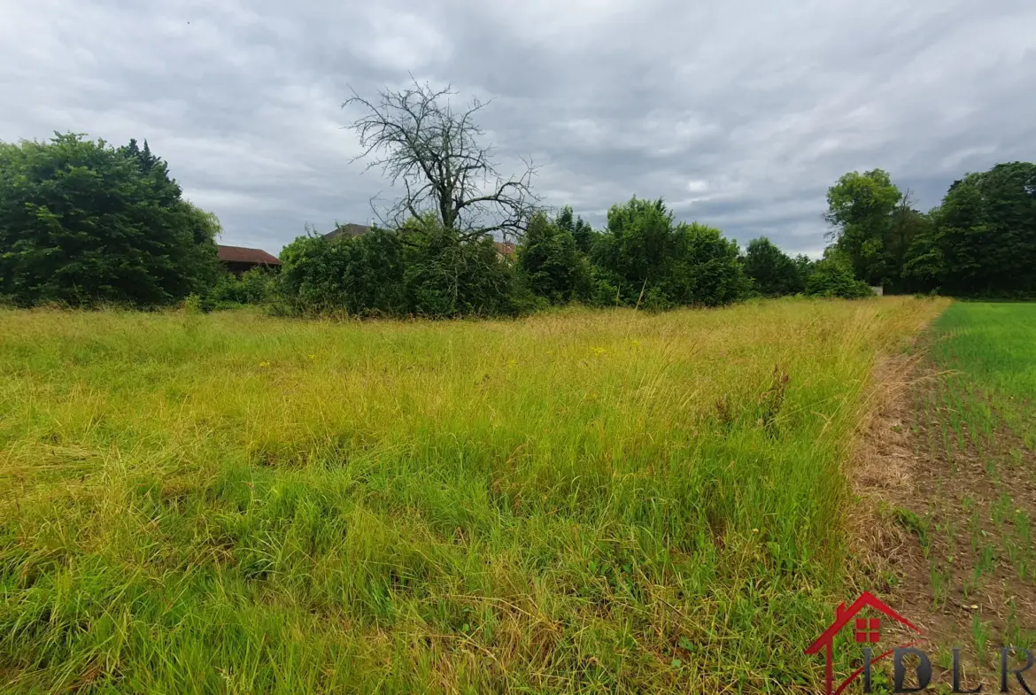 Terrains à bâtir à vendre à Favresse, 2772 m², 48000 euros 