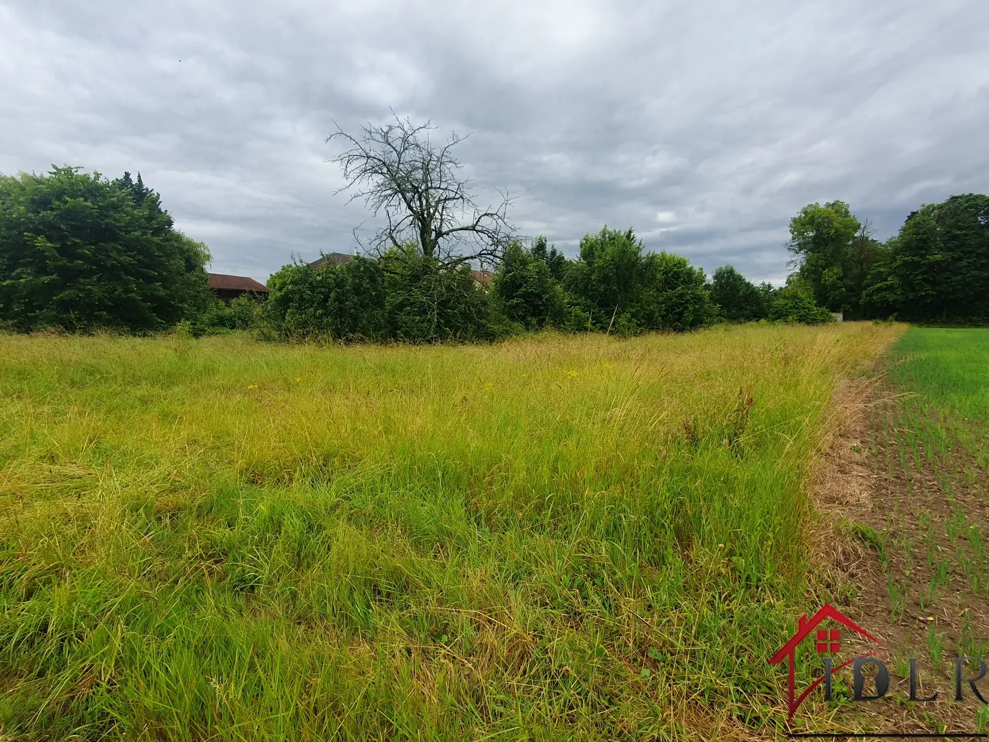 Terrains à bâtir à vendre à Favresse, 2772 m², 48000 euros 
