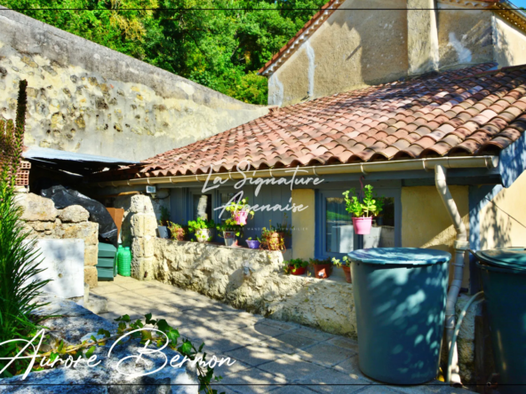 Maison en Pierre avec Jardin à Nérac à 10 minutes 
